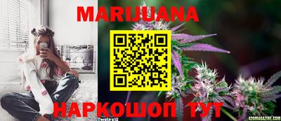 мяу мяу мука Новодвинск