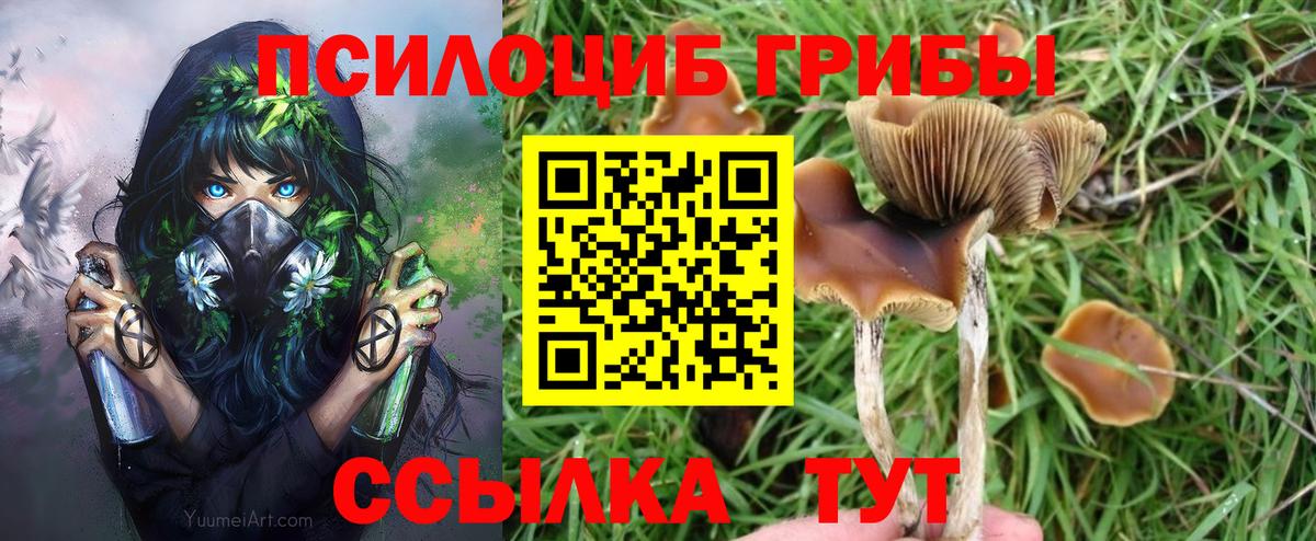 Псилоцибиновые грибы мухоморы Тулун